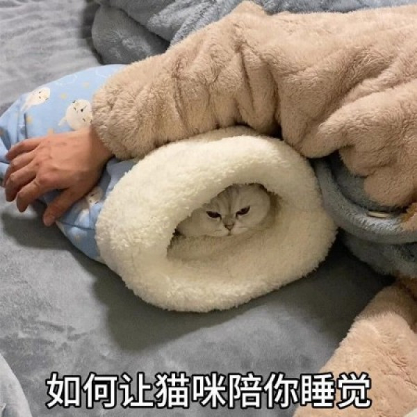Cat Warm Sleeping Bag  (১ পিচ)