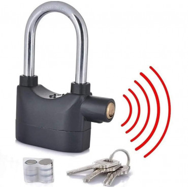 Security Alarm Lock...