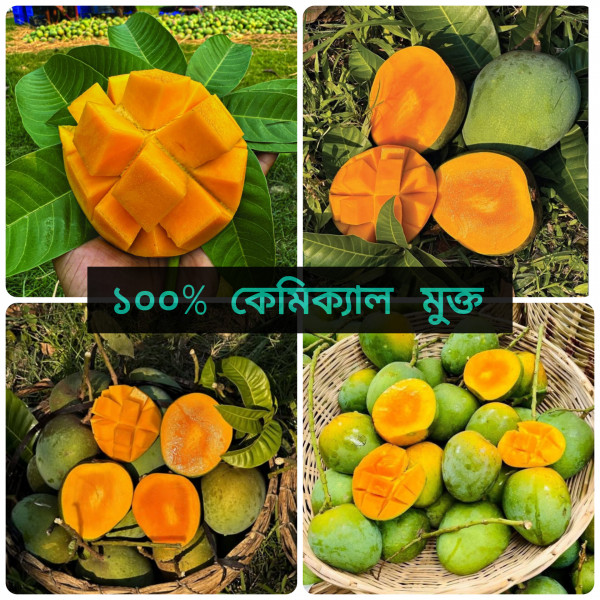 10 কেজি গোবিন্দভোগ আম