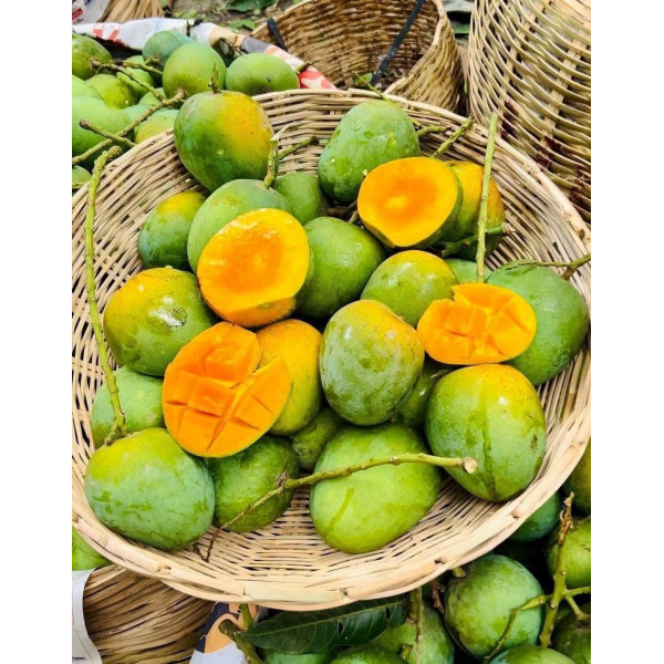 30 কেজি গোবিন্দভোগ আম 140 টাকা করে 4200 টাকা
