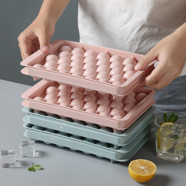 33 Girds Ice Tray (২...
