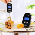 Portable Hanging Scale (২ পিছ )