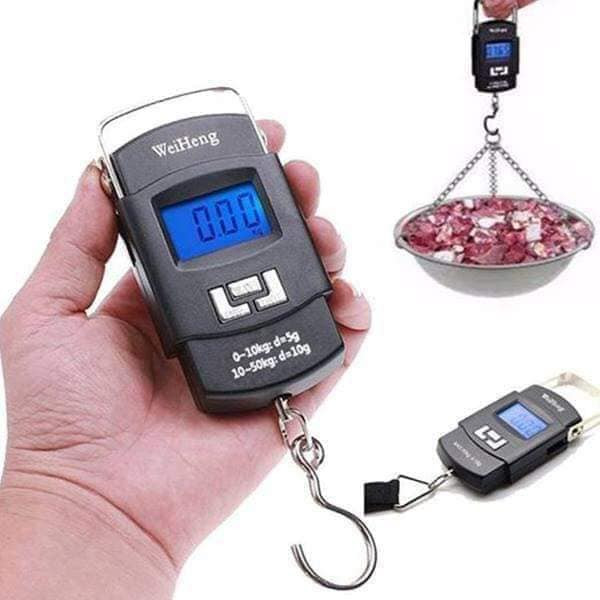 Portable Hanging Scale ( ১ পিছ )