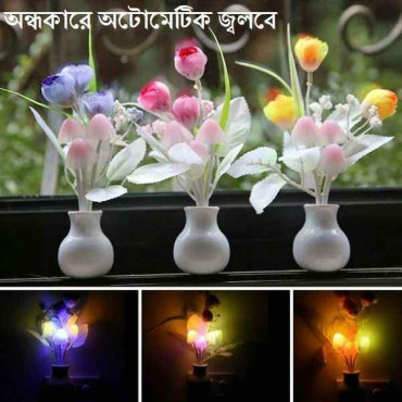 Beautiful Deam light...