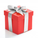 Individual Gift