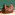 Bag Items