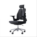 Ergonomic Chair