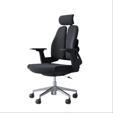 Ergonomic Chair...