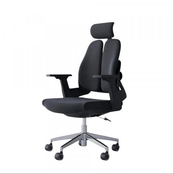 Ergonomic Chair