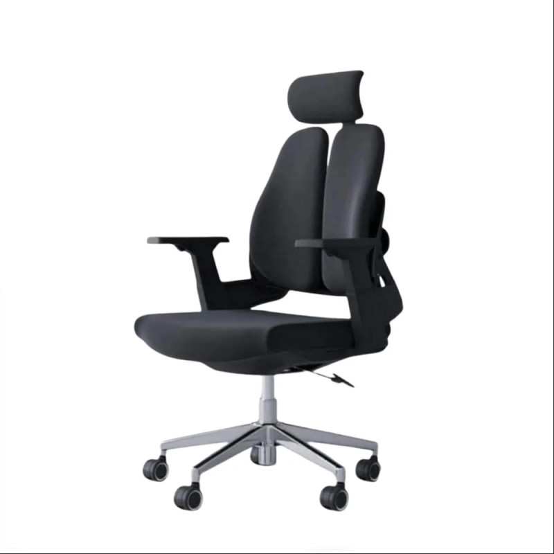 Ergonomic Chair