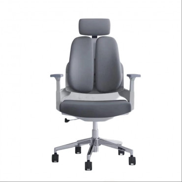 Ergonomic Chair...