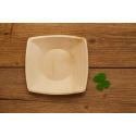 10 Inch Square Plate - 6 pcs