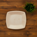 9 Inch Quad Square Plate- 6 Pcs