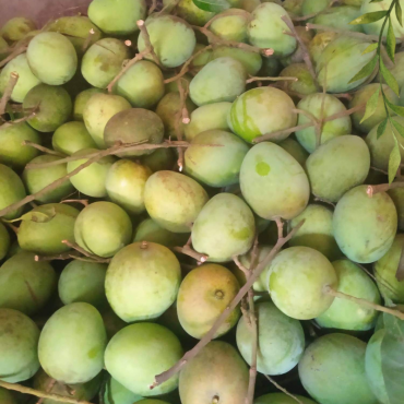 রংপুরের বিখ্যাত হাড়...