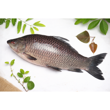 Kali Bausch (কালি বাউশ )