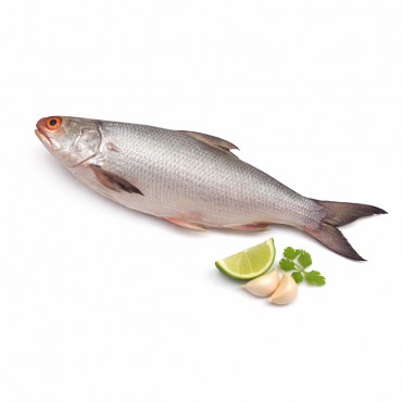 Lakka (লাক্কা )