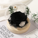 গাছের বড় প্রিজার্ভ গোলাপের গিফট সেট। Large Real Rose Glass Dome