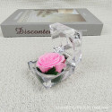 Real Preserved Black Rose in Crystal Box- ভালোবাসার স্থায়িত্ব হোক আজীবন: প্রিমিয়াম প্রিজার্ভড রোজ।