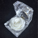 Real Preserved Black Rose in Crystal Box- ভালোবাসার স্থায়িত্ব হোক আজীবন: প্রিমিয়াম প্রিজার্ভড রোজ।