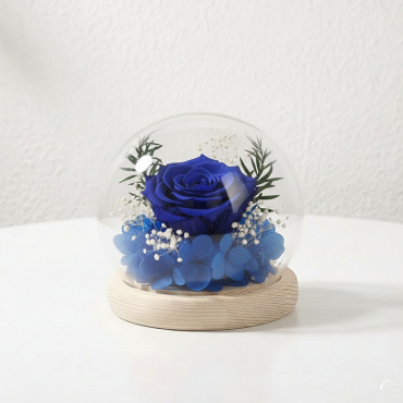 গাছের বড় প্রিজার্ভ গোলাপের গিফট সেট। Large Real Rose Glass Dome