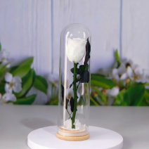 Real Preserved Rose ...