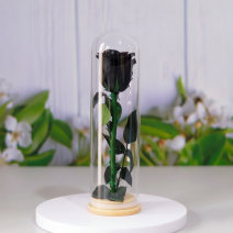 Real Preserved Rose ...