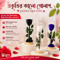 রিয়েল ডাল, পাতা, কাঁটা সহ প্রিজার্ভ গোলাপ বড়