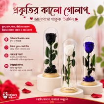 রিয়েল ডাল, পাতা, কাঁ...