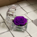 Real Preserved Black Rose in Crystal Box- ভালোবাসার স্থায়িত্ব হোক আজীবন: প্রিমিয়াম প্রিজার্ভড রোজ।