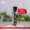 রিয়েল ডাল, পাতা, কাঁটা সহ প্রিজার্ভ গোলাপ বড়