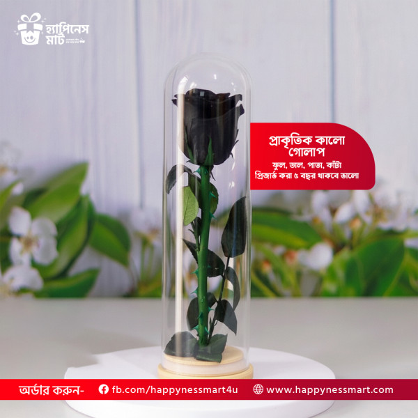 রিয়েল ডাল, পাতা, কাঁটা সহ প্রিজার্ভ গোলাপ বড়