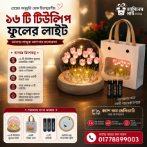 ১৬ টি গোলাপি টিউলিপ ...
