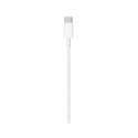 Apple Type C to Lighting Cable 1M