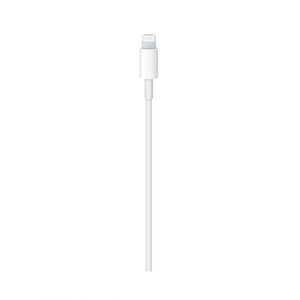 Apple Type C to Lighting Cable 1M