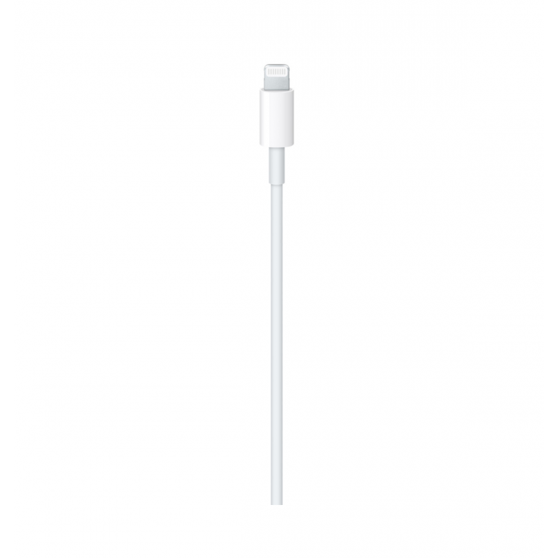 Apple Type C to Lighting Cable 1M