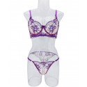 Transparent Bra and Panty Set