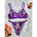 Transparent Bra and Panty Set
