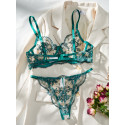 Transparent Bra and Panty Set