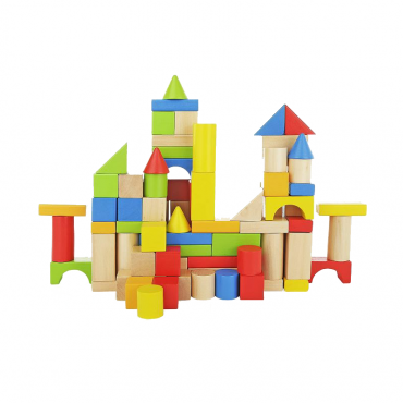100 Piece Wooden Block Set
