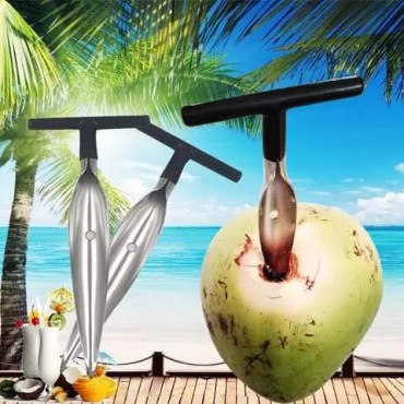 Stainless Steel Coconut Opener