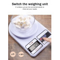 Electronic Scale