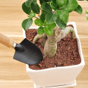 3 Piece Mini Gardening Tools Set