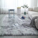 Home Décor Carpets