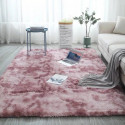 Home Décor Carpets