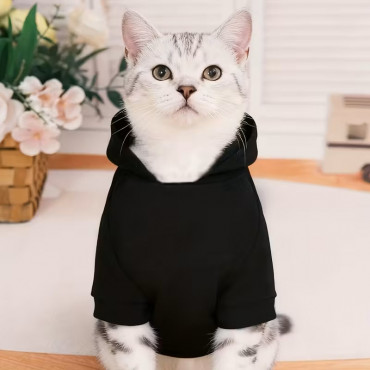 Winter Stylish Cats ...