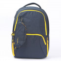 Loupine School, College, Versity ,Office Backpack ( Blue )