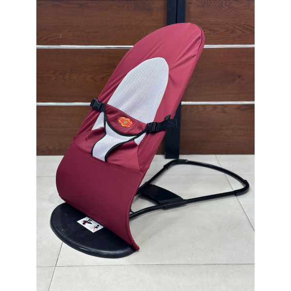 Baby Bouncer