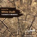 Fitrat White Oudh