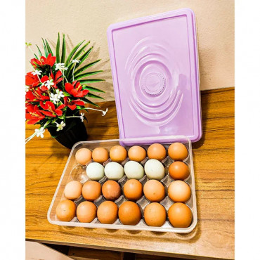 Egg Storage Box (24 Grids)