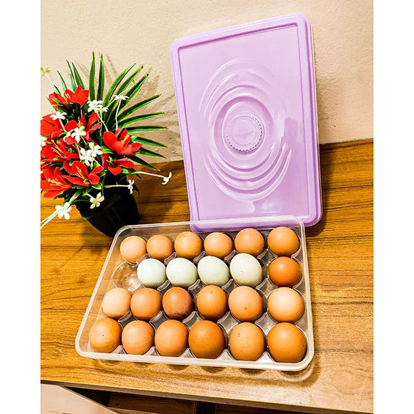 Egg Storage Box (24 Grids)